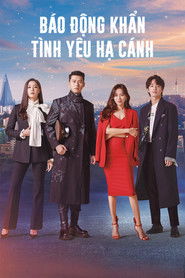 Báo động khẩn, tình yêu hạ cánh