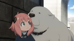 DISARM THE TIME BOMB