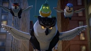 Cướp chạy xa bay