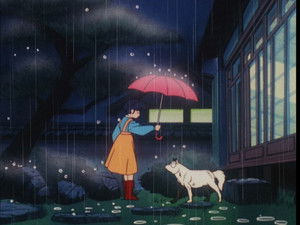 A Ninja's Dog Is Black and White