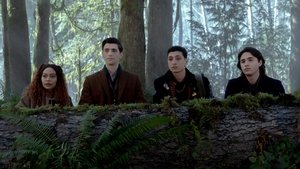 The Case of the Creeping Forest