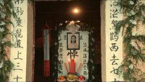 I Have Never Planted Radishes in my Life